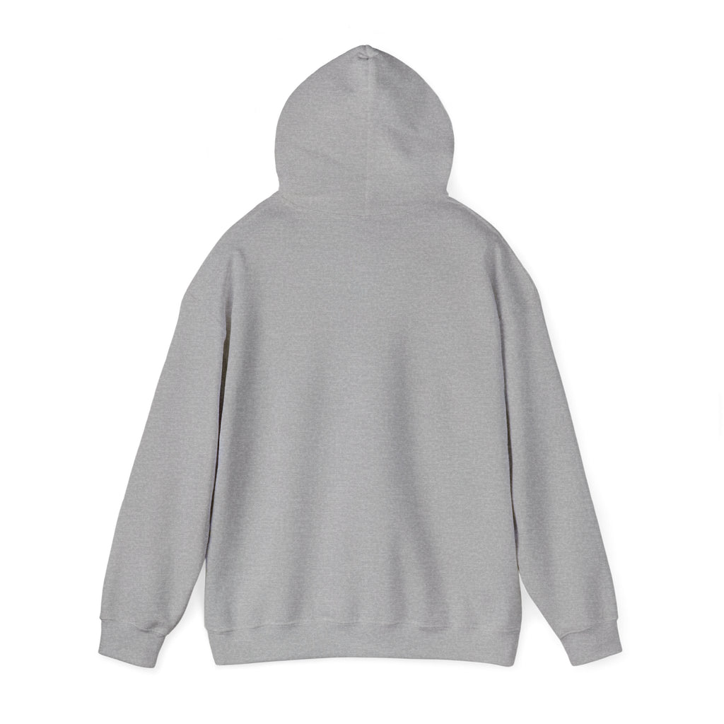 Paris Vintage Postcard Hoodie – Eiffel Tower Travel Sweatshirt
